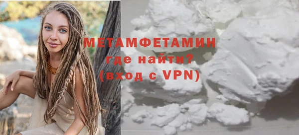 индика Бородино