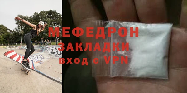 индика Бородино