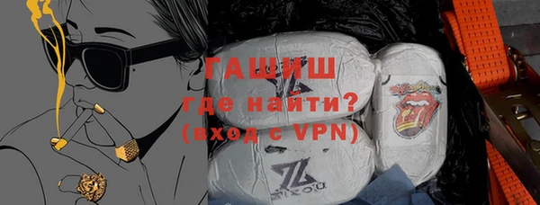 индика Бородино
