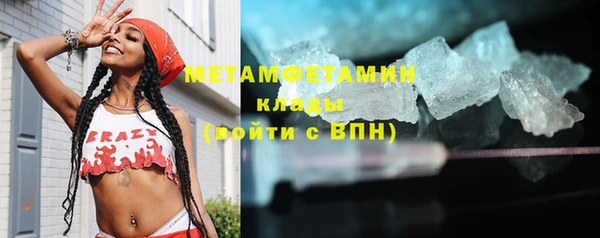 индика Бородино
