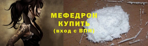 индика Бородино