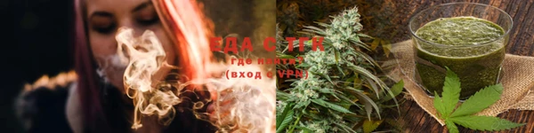 индика Бородино
