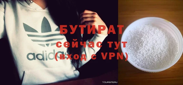 индика Бородино