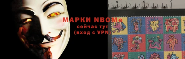 индика Бородино