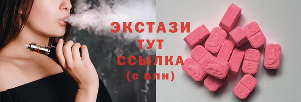 индика Бородино