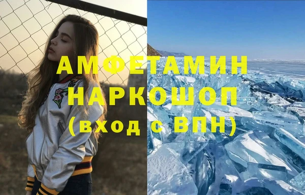 индика Бородино
