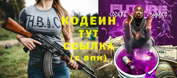 индика Бородино