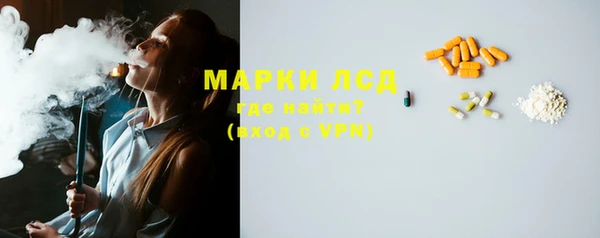 индика Бородино