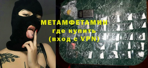 индика Бородино