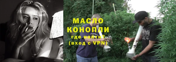 индика Бородино