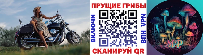 Галлюциногенные грибы Magic Shrooms  купить  сайты  kraken ТОР  Новосиль 